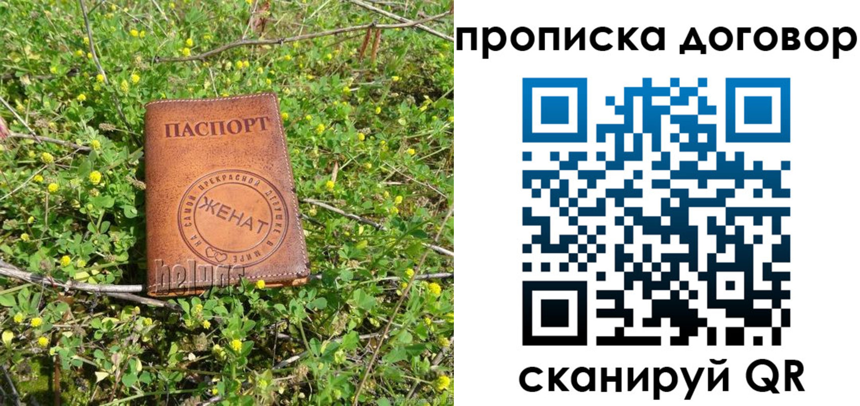 прописка регистрация в Славгороде